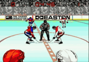 Wayne Gretzsky NHLPA All Stars Screenthot 2